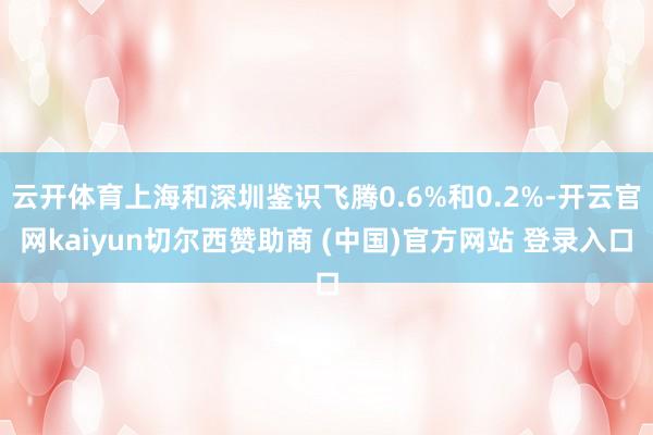 云开体育上海和深圳鉴识飞腾0.6%和0.2%-开云官网kaiyun切尔西赞助商 (中国)官方网站 登录入口