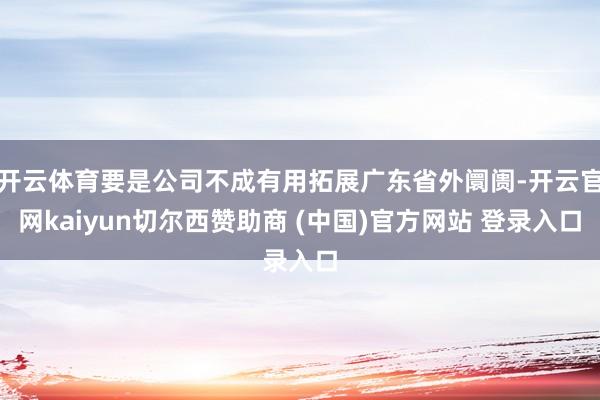 开云体育要是公司不成有用拓展广东省外阛阓-开云官网kaiyun切尔西赞助商 (中国)官方网站 登录入口