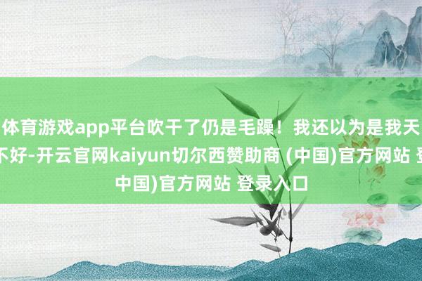 体育游戏app平台吹干了仍是毛躁！我还以为是我天生发质不好-开云官网kaiyun切尔西赞助商 (中国)官方网站 登录入口