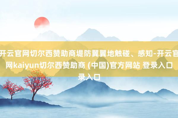 开云官网切尔西赞助商堤防翼翼地触碰、感知-开云官网kaiyun切尔西赞助商 (中国)官方网站 登录入口