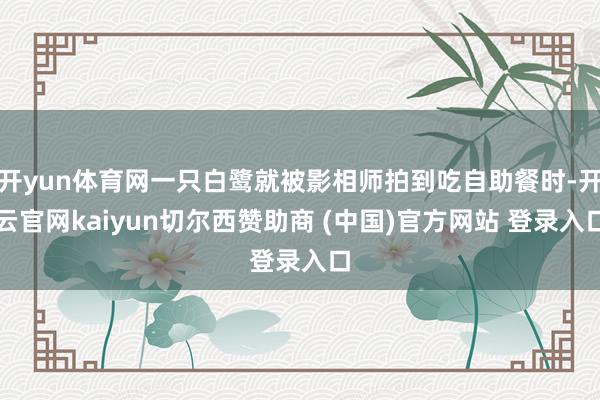 开yun体育网一只白鹭就被影相师拍到吃自助餐时-开云官网kaiyun切尔西赞助商 (中国)官方网站 登录入口